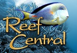 Reef Central Online Community